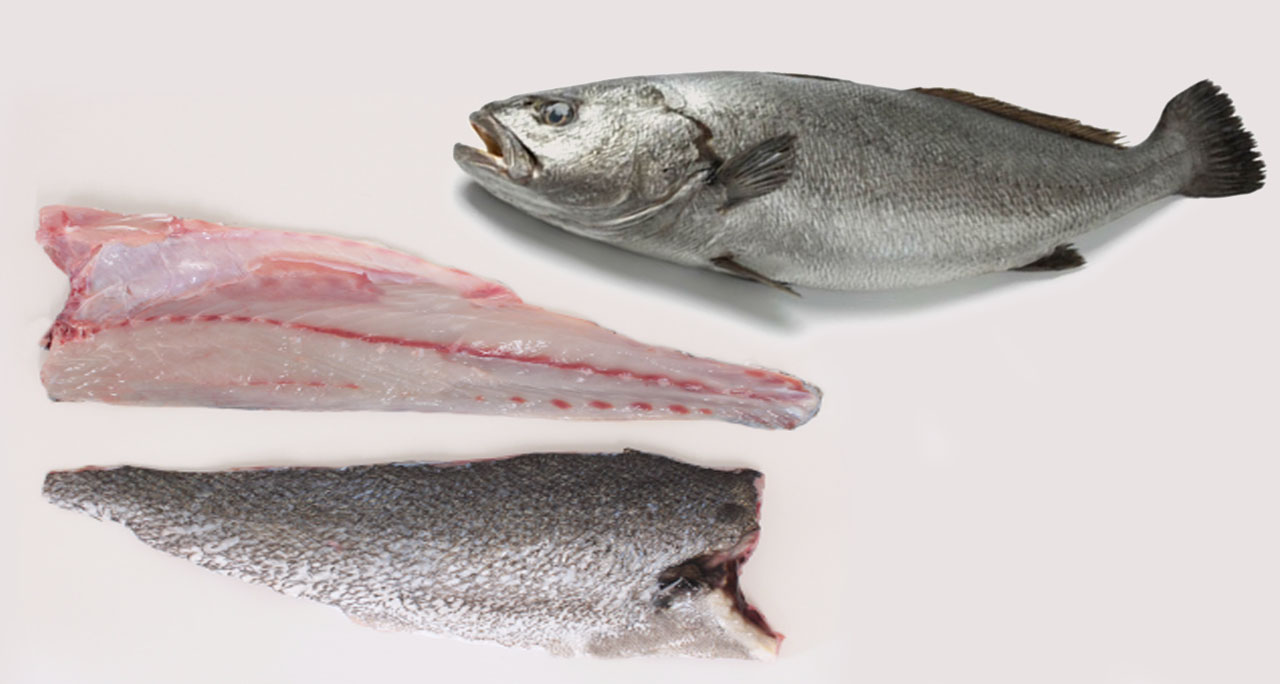 Croaker whole raw on ice