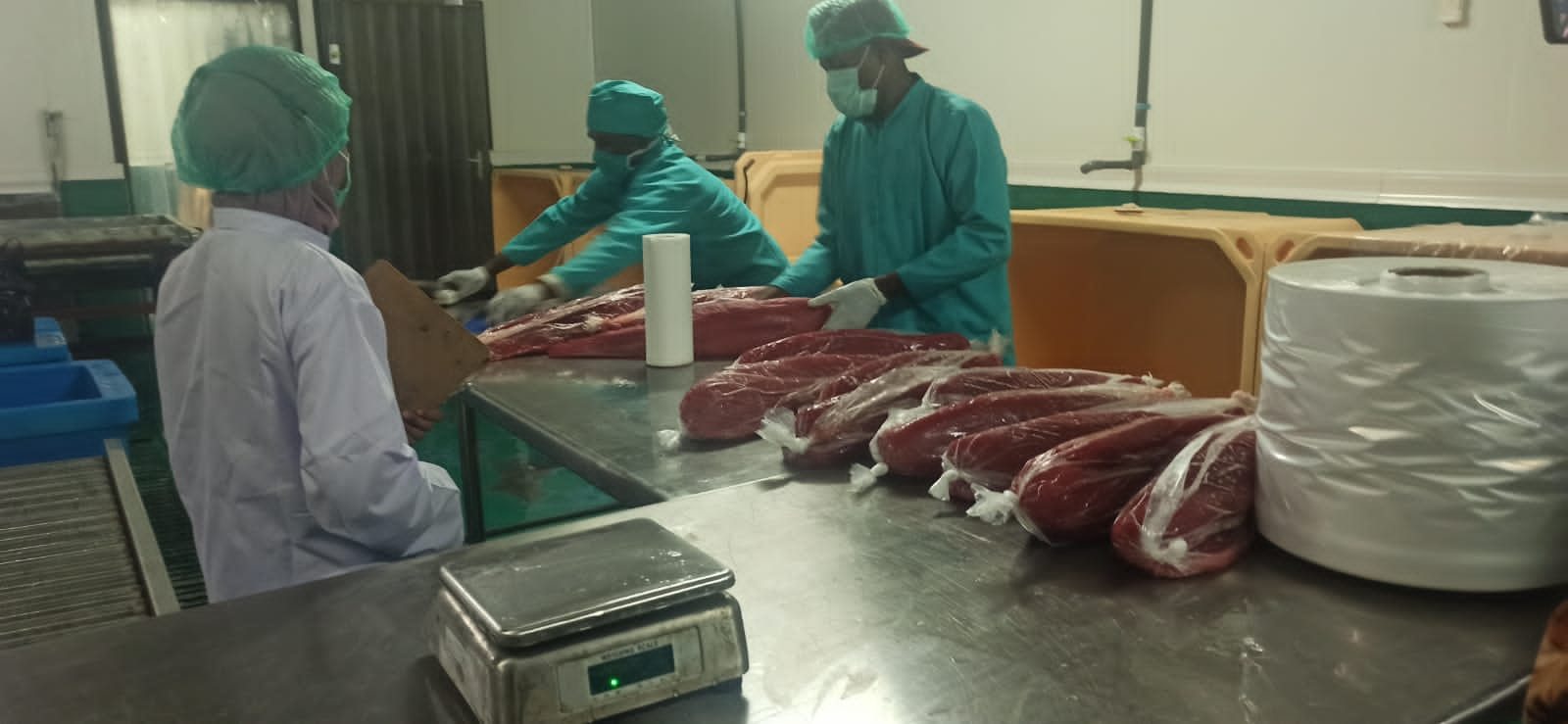 Cold chain packaging at Indo-Pacific partner facility