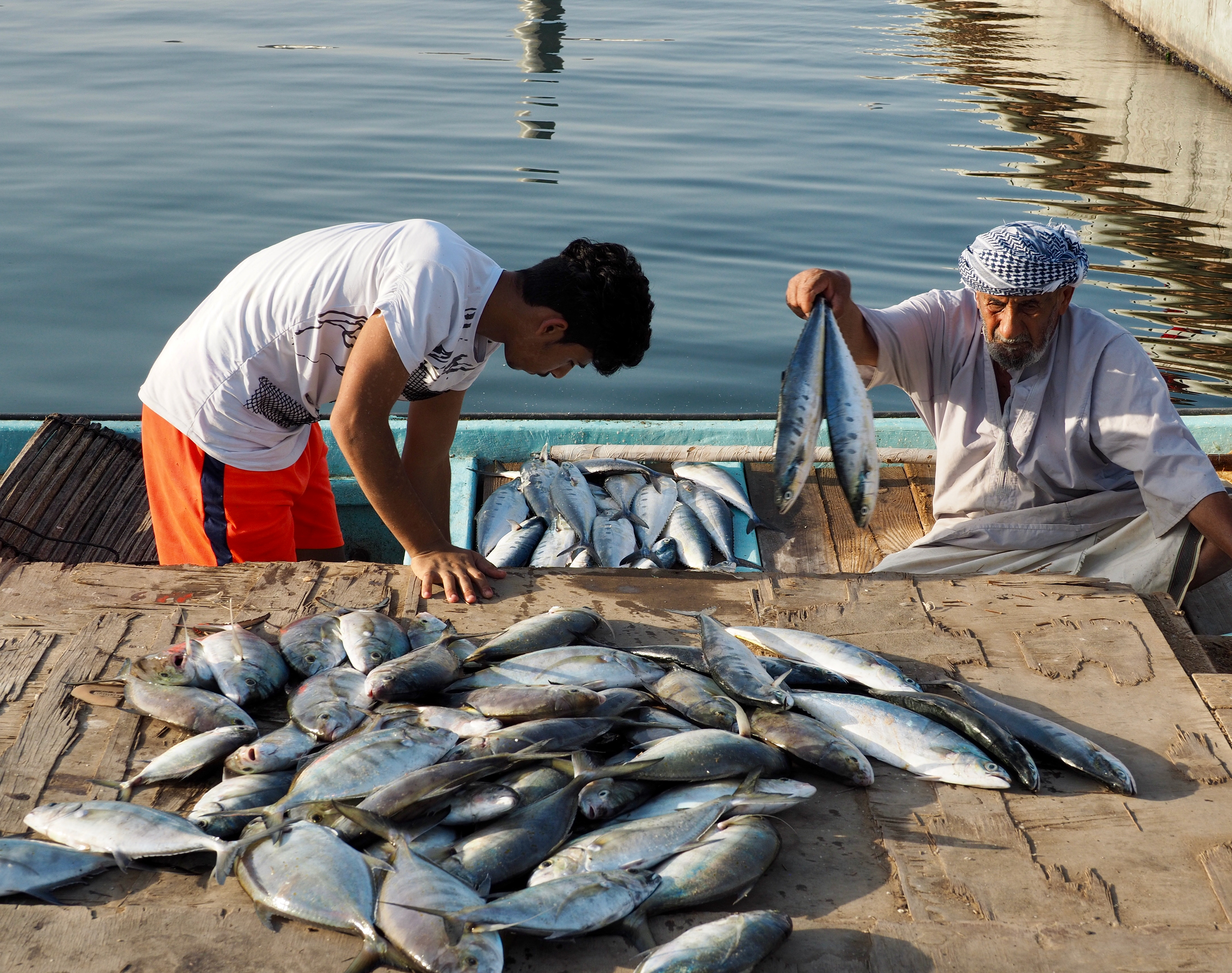 Small pelagic seafood category