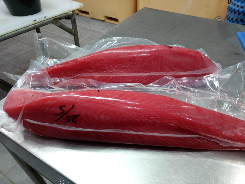 Packed yellowfin tuna products prepared for buyer review